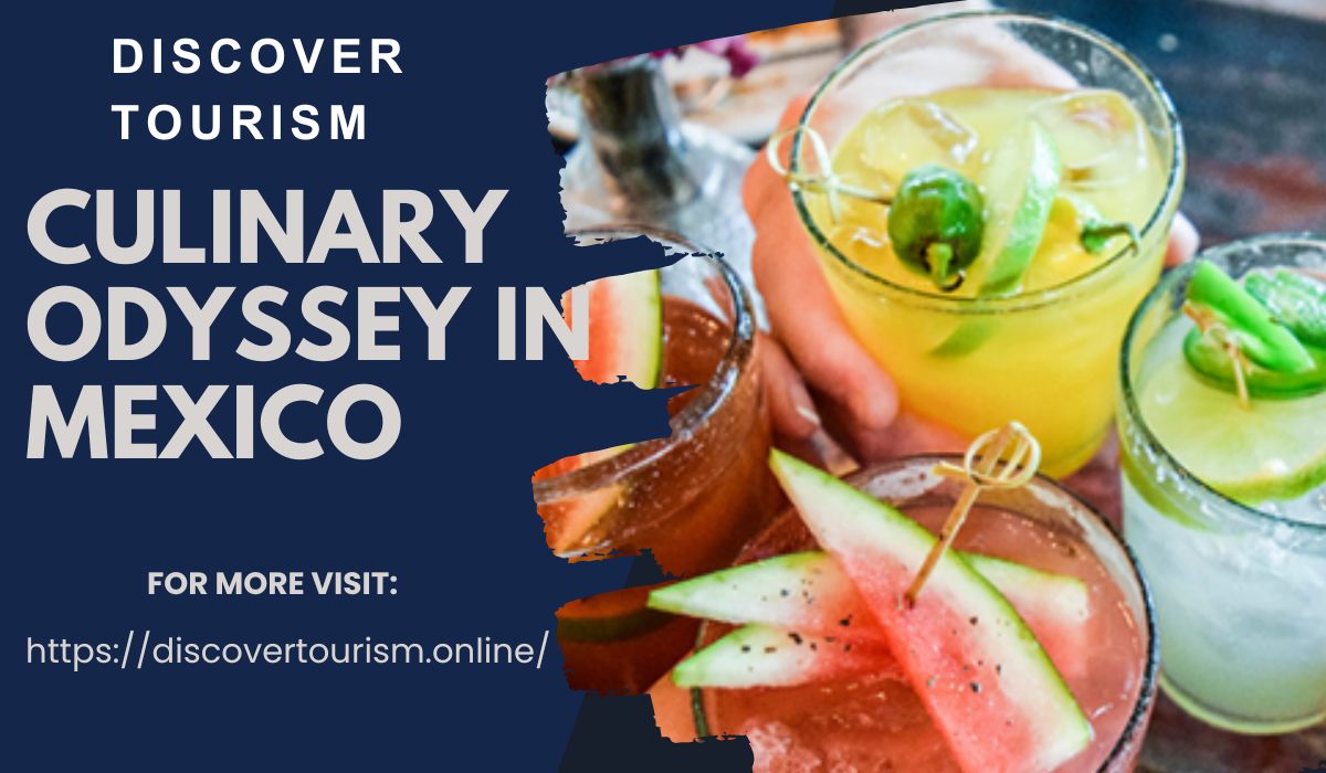 Culinary Odyssey in Mexico