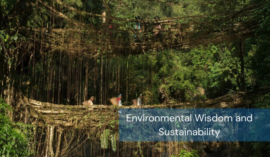 Environmental Wisdom and Sustainability