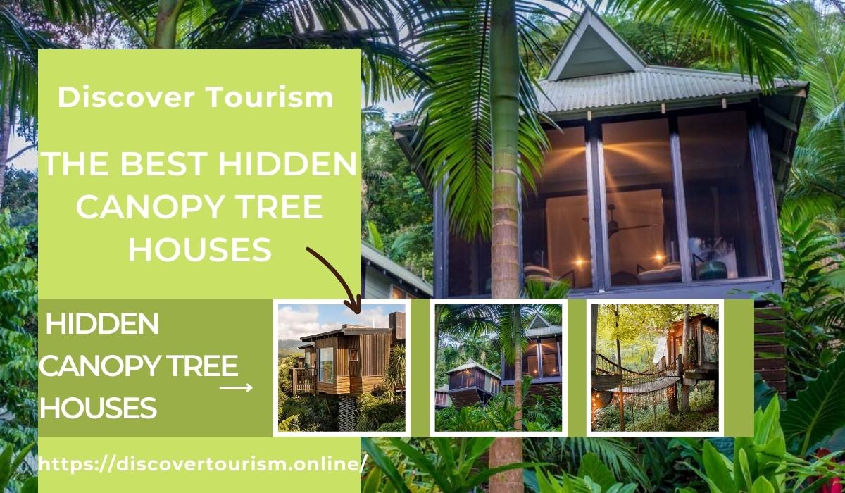 The Best Hidden Canopy Tree Houses