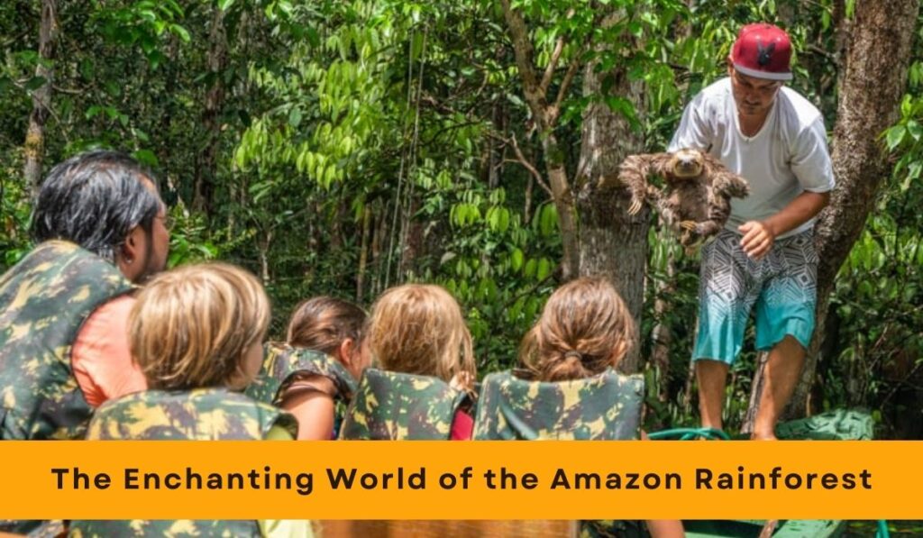 The Enchanting World of the Amazon Rainforest