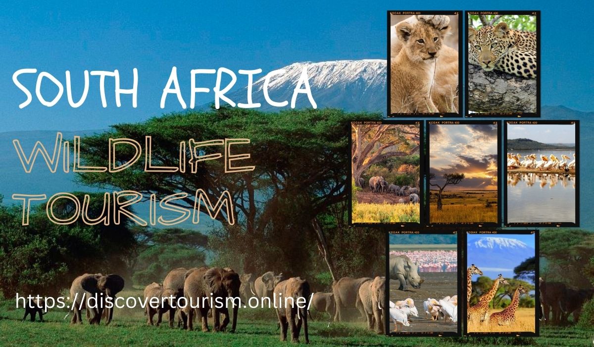 South Africa Wildlife Tourism