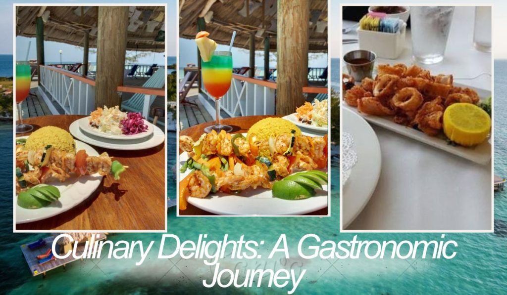 Culinary Delights A Gastronomic Journey